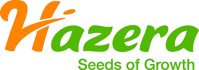 hazera