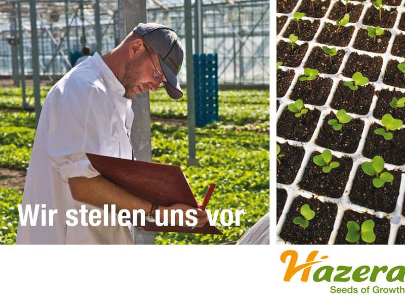 hazera – wir stellen uns vor