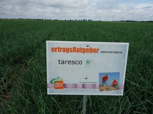 taresco f1